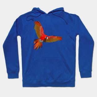 flying bird Hoodie